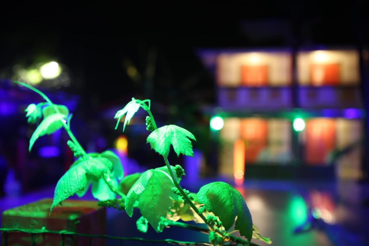 Ferrugem Eco Village